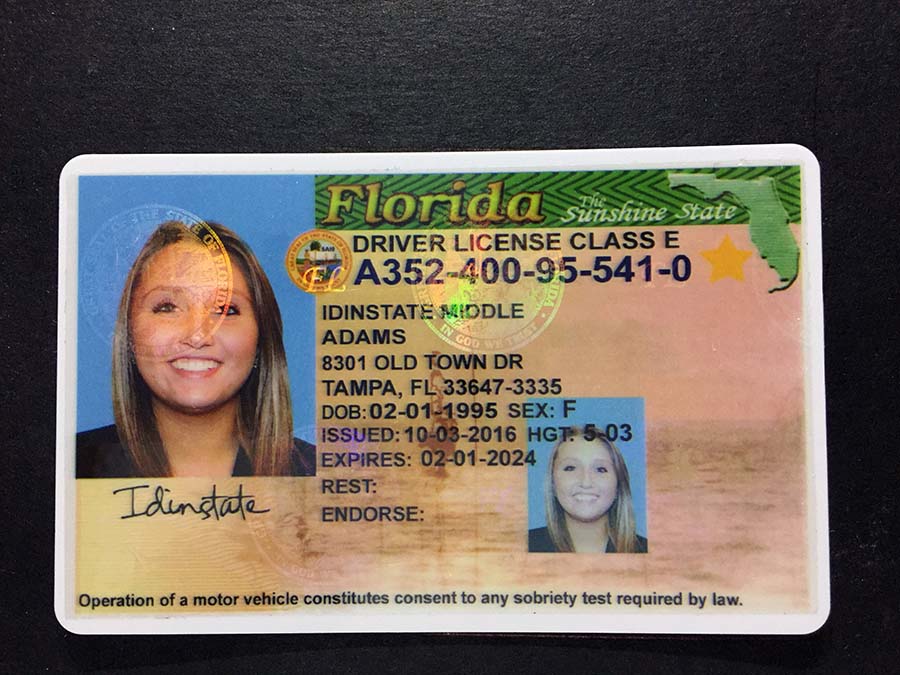 Fake Drivers License Maker Florida - Draw-level

